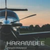 Harambee