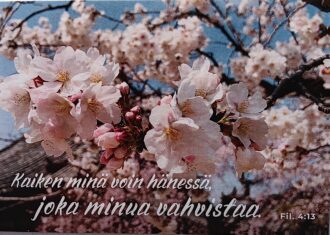 Valkoinen kirsikankukkakortti (Kaiken minä voin hänessä, joka minua vahvistaa. Fil. 4:13)