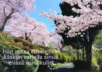Kaksiosainen kortti: Hän antaa enkeleilleen käskyn... (Kylväjän tukituote)